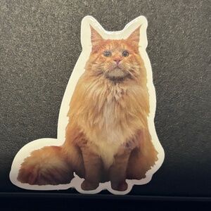 ORAGNE CAT STICKER